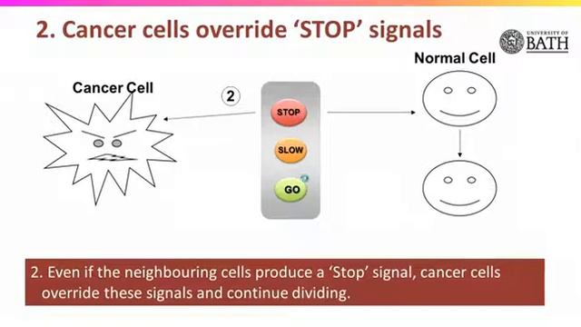 7-How Rogue Cells Behave