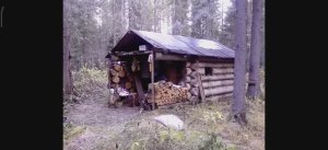 Избушка лесная