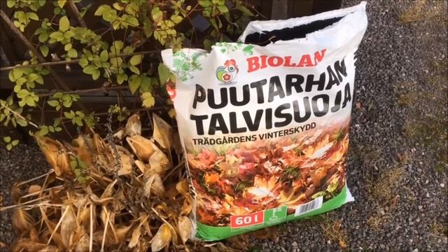 Biolanin Essin suosikkituotteet ja vinkit alkavaan talveen смотреть онлайн