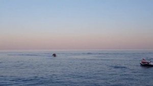 Алушта! Куда сходить и что посмотреть за один день.