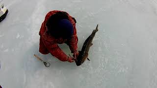 трудовая рыбалка часть 3.mp4 смотреть онлайн