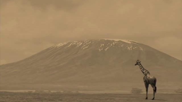 AFRIKA５ смотреть онлайн