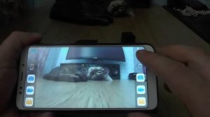 SQ13 + WIFI  + ночная сьемка . Обзор мини камеры .