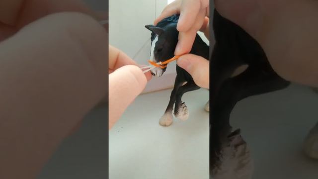 Делаем своими руками недоуздок для лошади шляйх смотреть онлайн