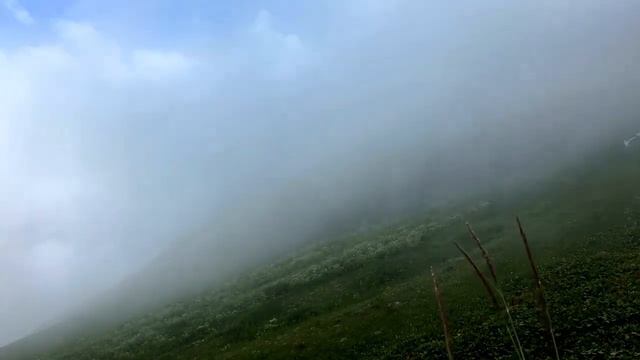 Wife Cheated With Our Contractor To PAY For Our House?! (reddit cheating story) смотреть онлайн