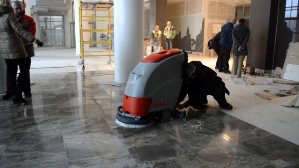 Поломоечная машина Comac