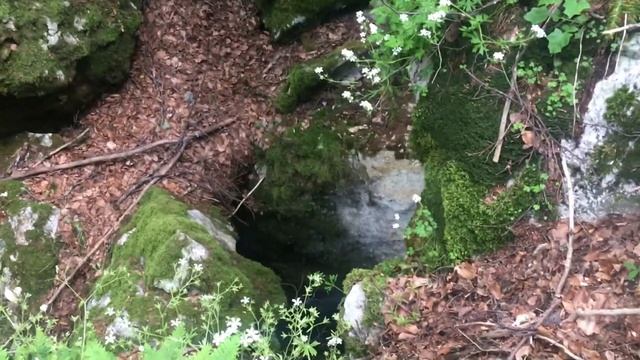 Лес на Чатыр-Даге и секретные пещеры и гроты в горах Крыма. Крым 2020 смотреть онлайн