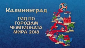 Чемпионат Мира по футболу 2018 в России «Калининград»