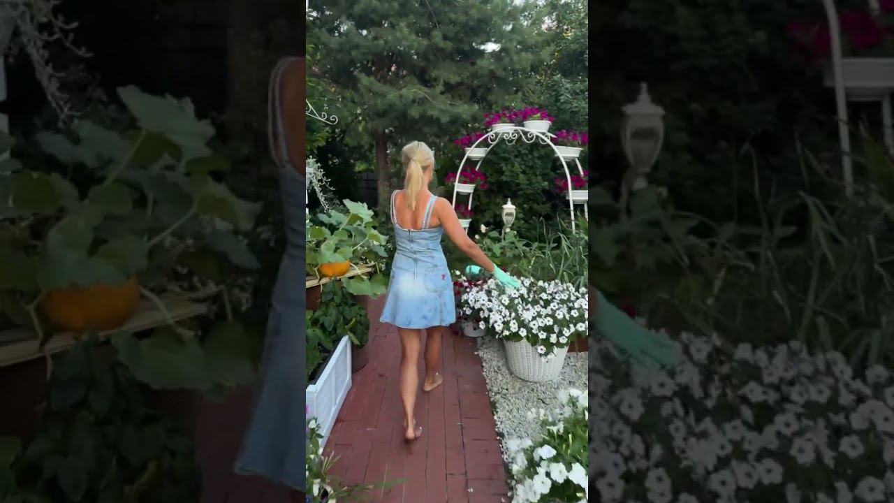 Мой дивный сад смотреть онлайн