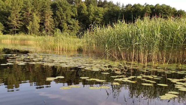 Отдых с палаткой. Селигер. Переменчивая погода. Ржевский мемориал. Июль 2020 года. смотреть онлайн