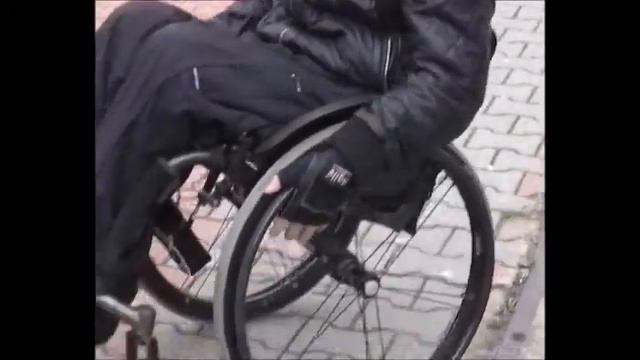 Алексей ЧАБАНОВ, Инваспорт и Центр "Собака-Благо" смотреть онлайн