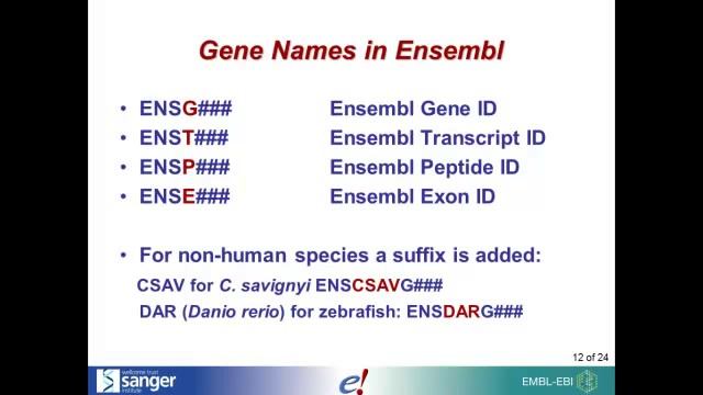 Ensembl overview at the Erasmus MC (Sept 2011) смотреть онлайн