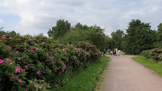 Музей-заповедник Коломенское. Июнь 2021г. смотреть онлайн