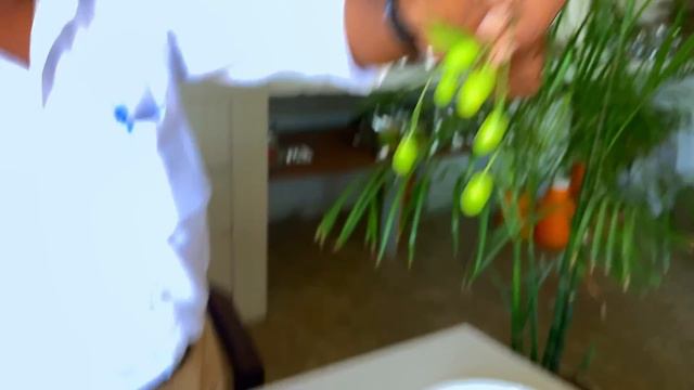 Neem Khali/नीम खली FREE में अपने घर पर कैसे बनाएं || जानिए A-Z Information ||🌿✨ смотреть онлайн