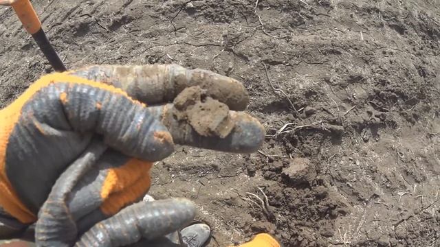 XP Deus. Коп 8 мая 2015 смотреть онлайн