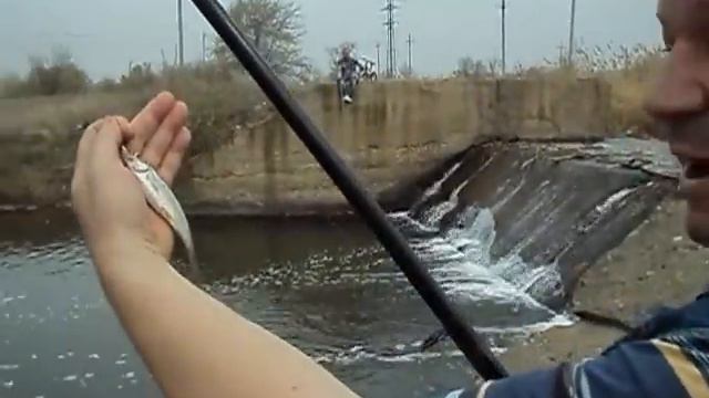 Первая плотва в апреле смотреть онлайн