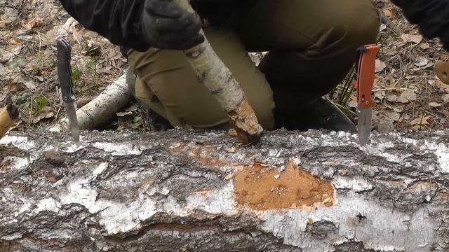 Лесной тест - ножи SteelClaw Шакс и Ganzo G7412. смотреть онлайн