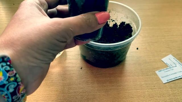 Строительные Консультации