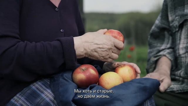 Они это мы. Село.