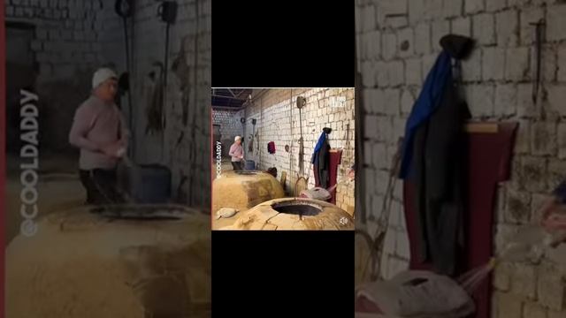 talented boy with the dough_shorts_Foods смотреть онлайн