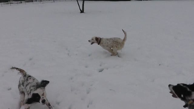 SNOW DAY 2017 смотреть онлайн