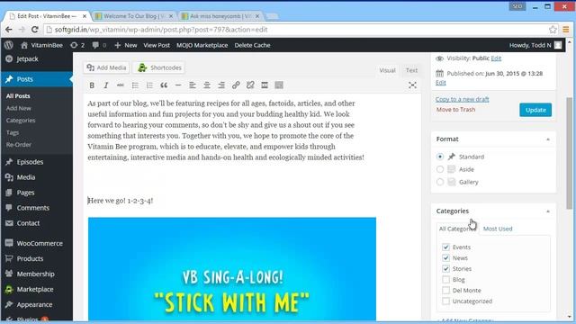 Wordpress Blog Edit Post Clone Post Rename Post Schedule Post смотреть онлайн