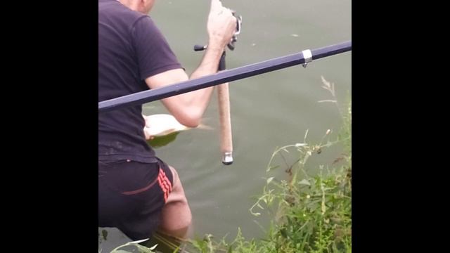 Большой улов, Big fish, fishing, рыбалка в Коканде смотреть онлайн