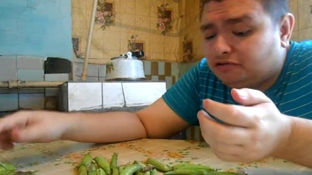 Горох огородный сладкий домашний