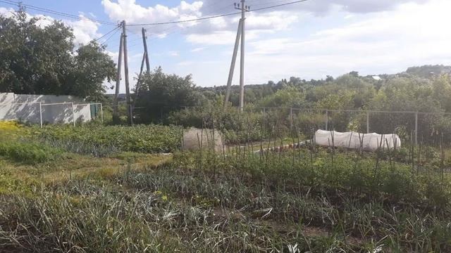Собственник. Продажа дачи 41 м² на участке 9 соток.8 (902) 353-11-84 Кирилл смотреть онлайн
