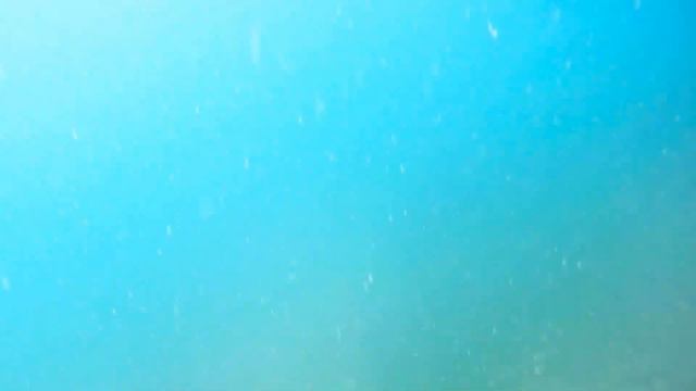 Free diving in south Devon смотреть онлайн