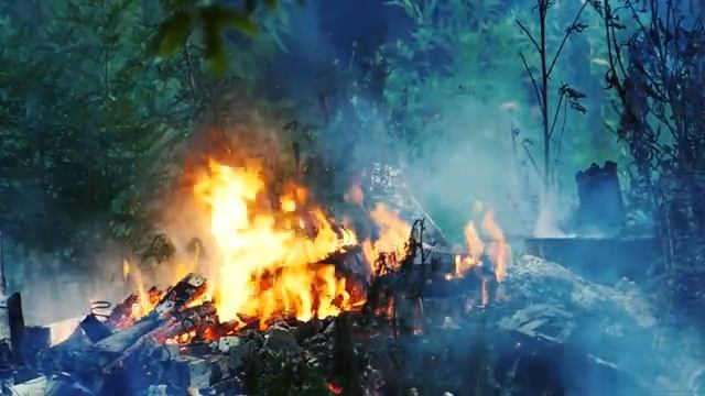 Лесной костер в лесу Приятное потрескивание дров, натуральный шум леса с комарами. смотреть онлайн