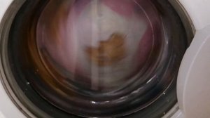 Indesit wisl 105: Cotton 70° 1000 rpm