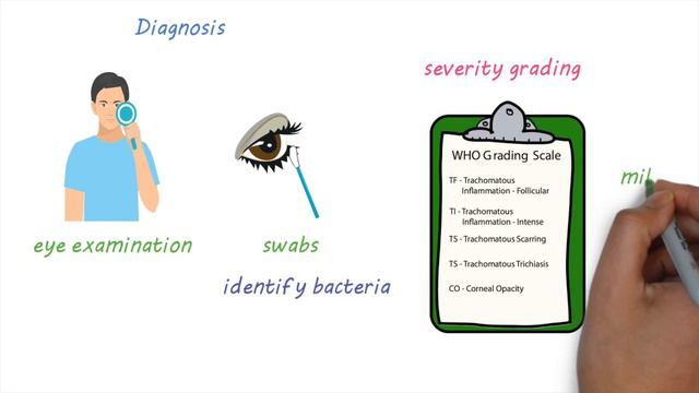 Trachoma - a devastating infectious eye disease смотреть онлайн