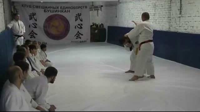 Jiuclub.ru семинар Бушинкан Джиу-джитсу г.Подольск Ревенко С.(клип) смотреть онлайн