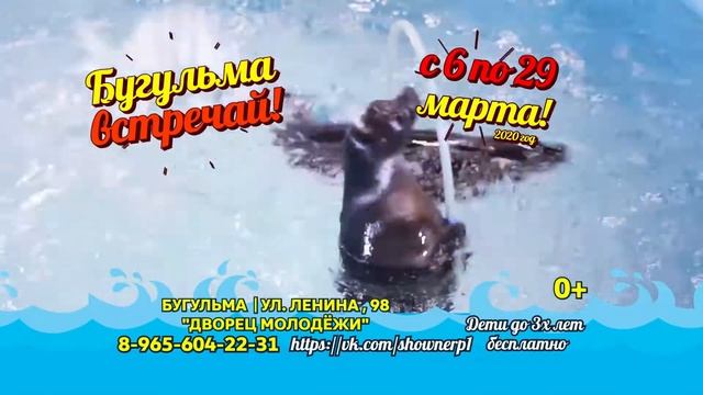 Сенсация! Шоу Байкальских Нерп в Бугульме! смотреть онлайн