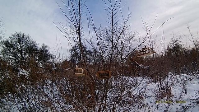 ловля на западок красношапочных вьюрков смотреть онлайн