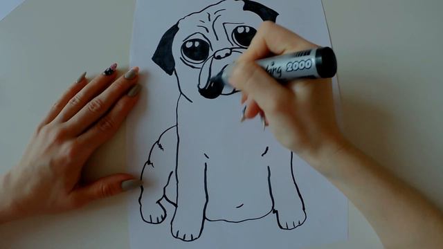 Cómo dibujar un perro pug/ How to draw pug/ Как нарисовать мопса смотреть онлайн