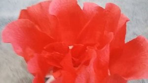 Шапочка - цветок из бумаги.