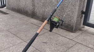 ловля рыбца на набережной Ростова на Дону!