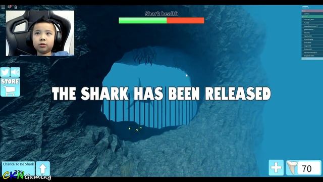 I'm The Shark Roblox Sharkbite CKN Gamingg смотреть онлайн