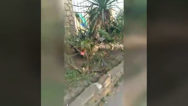 Отдых на море 🌊 🌊 🌊 (СЪЁМКА ГОД НАЗАД) смотреть онлайн