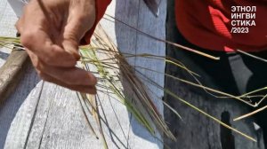 Заготовка травы и традиционные технологии плетения из травы на севере Камчатки