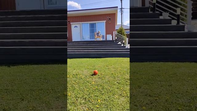 Кресло для настоящего лета от Haslof. Складное кресло Plio смотреть онлайн