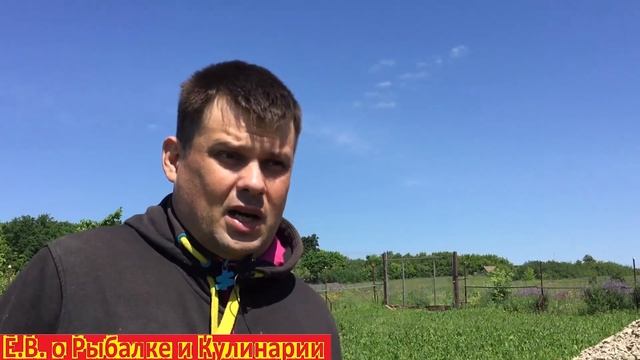 ТОП 5 самых лучших средств против муравьев. Какие средства против муравьев работают, а какие нет. смотреть онлайн