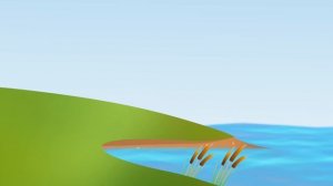 Як тракторець молодець картоплю садив.