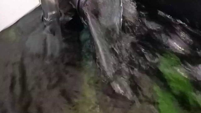 Поток воды от фильтра AQUAEL ULTRA FILTER 1200 смотреть онлайн