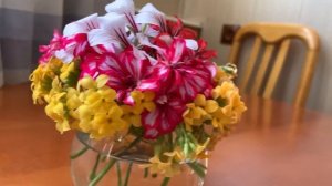 Букеты из Каланхоэ и Герани -просто и красиво