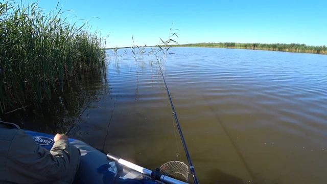 РЫБАЛКА НА КАРАСЯ В АВГУСТЕ КЛЁВ КАК ИЗ ПУЛИМЁТА смотреть онлайн