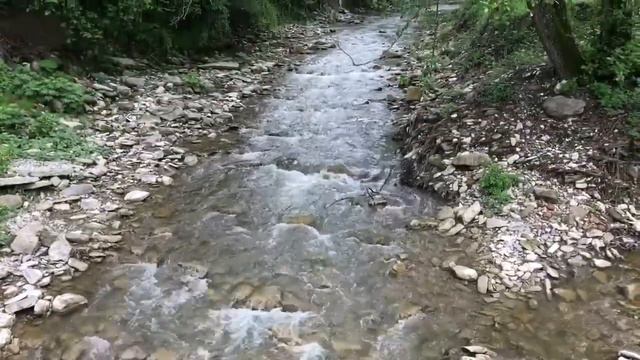 Речь Реки смотреть онлайн