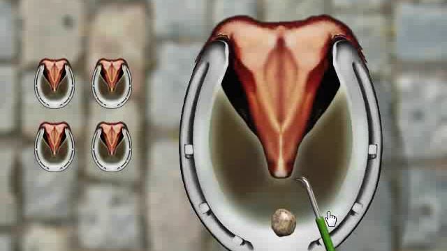 Horse Jumping 2 Gameplay